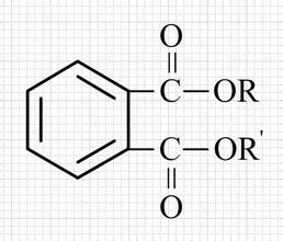 鄰苯二甲酸酯 (PHTHALATE) 危害有哪些？