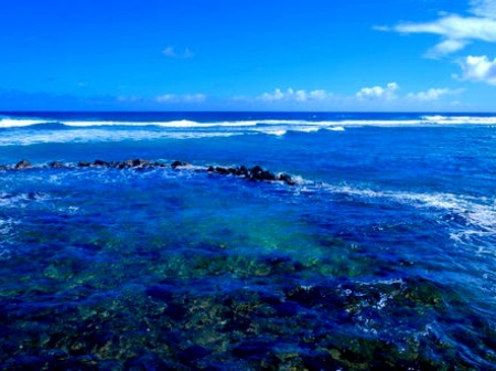 海洋